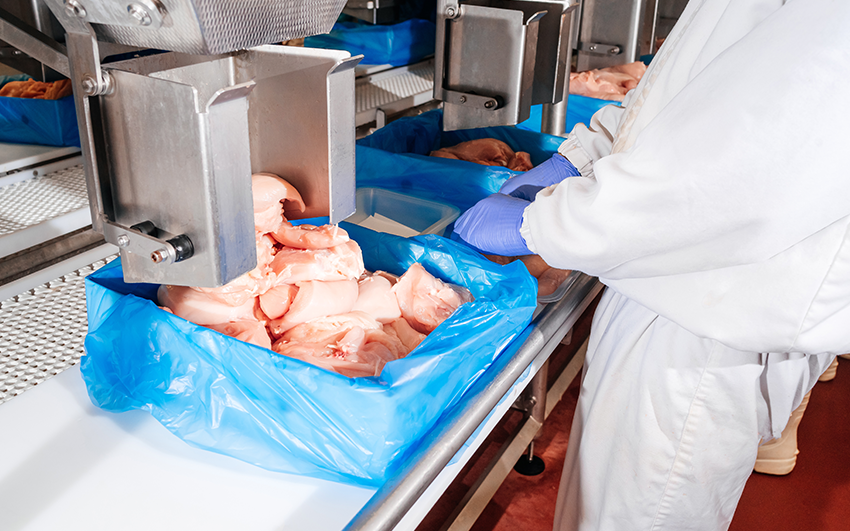 Inspection Points for Raw Chicken Lines