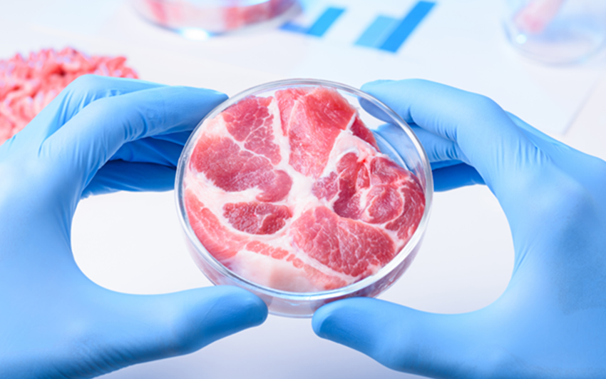 EaglePI_Food quality control systems