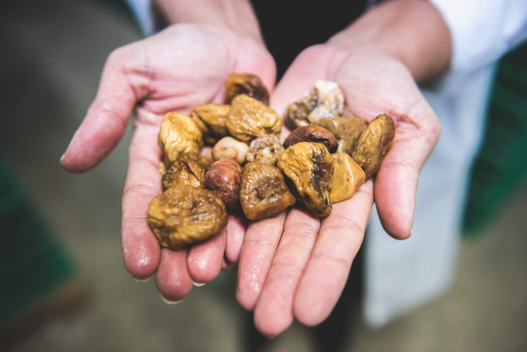 EaglePI 110eagle machine